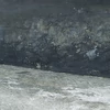 Kép 2/4 - Bitumen Silófesték - 30 ltr kanna